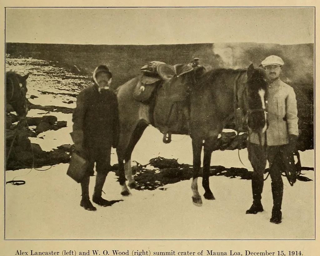 An illustration from Science conspectus, 1910, leaf 109
