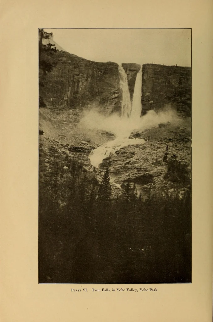 An illustration from Science conspectus, 1910, leaf 138