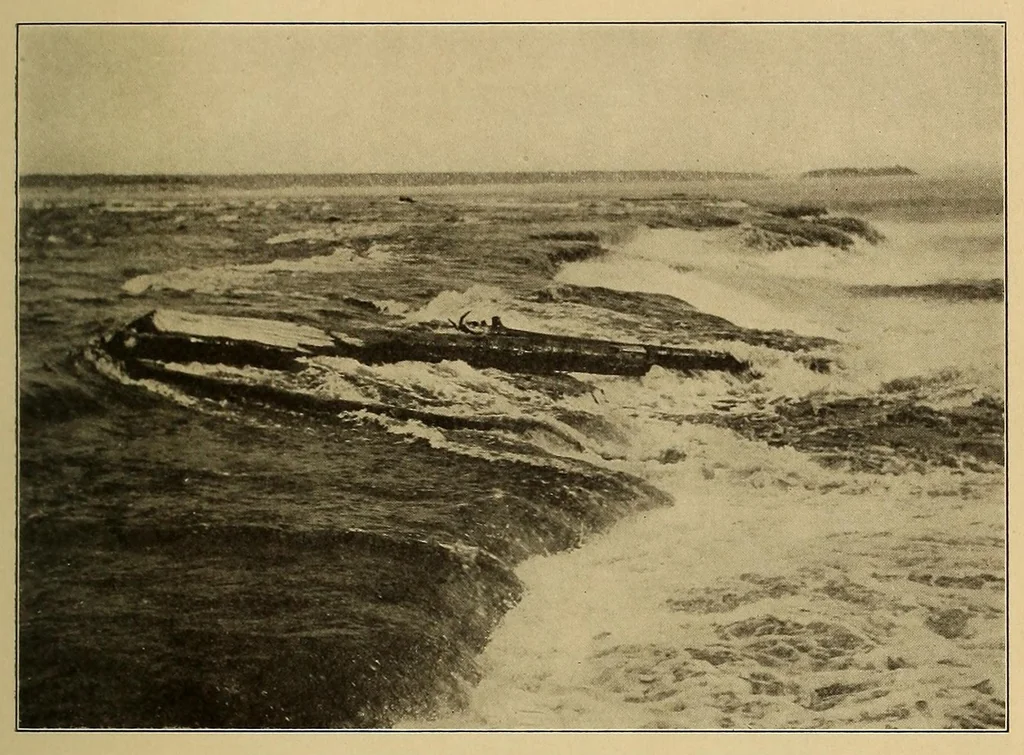 An illustration from Science conspectus, 1910, leaf 15