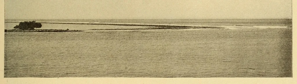 An illustration from Science conspectus, 1910, leaf 131