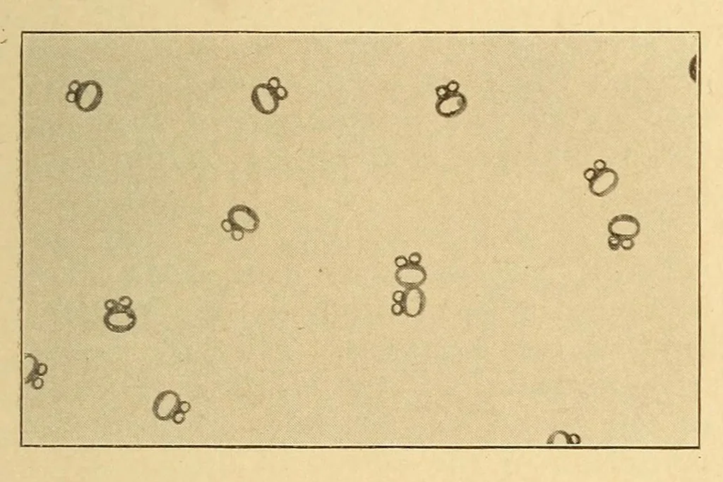 An illustration from Science conspectus, 1910, leaf 63