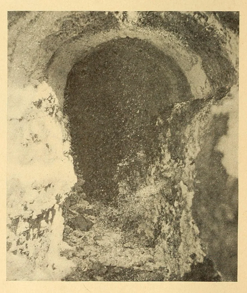 An illustration from Science conspectus, 1910, leaf 86