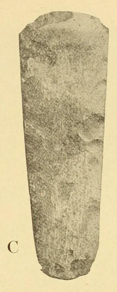 An illustration from Science conspectus, 1910, leaf 109