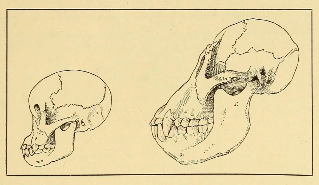 An illustration from Science conspectus, 1910, leaf 121
