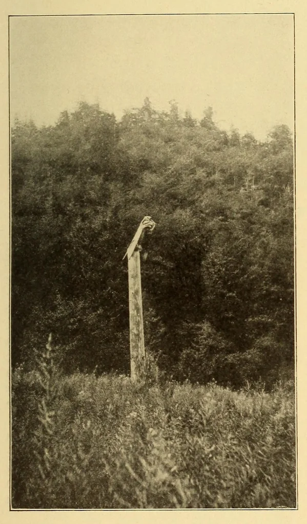 An illustration from Science conspectus, 1910, leaf 27