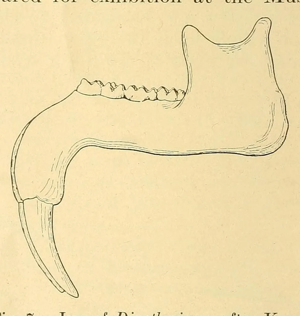 An illustration from Science conspectus, 1910, leaf 78