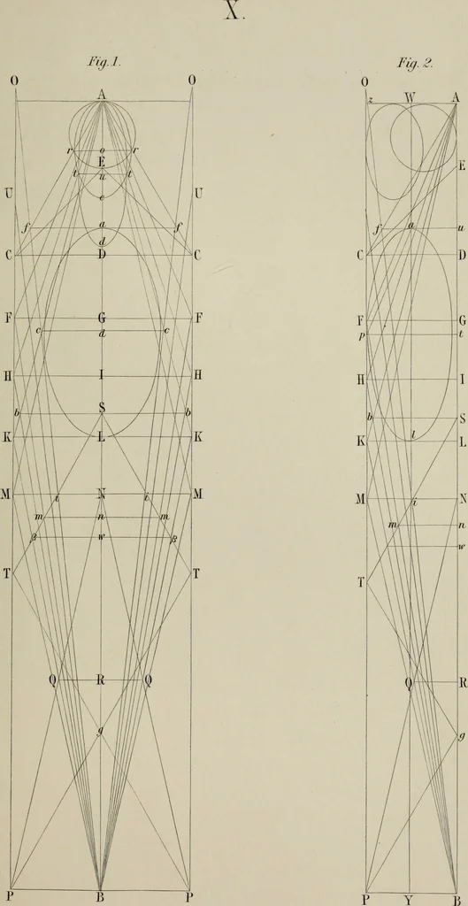 An illustration from The science of beauty, as developed in nature and applied in art, 1856, leaf 100