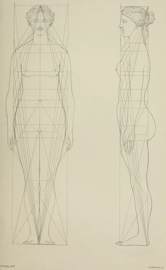 An illustration from The science of beauty, as developed in nature and applied in art, 1856, leaf 102