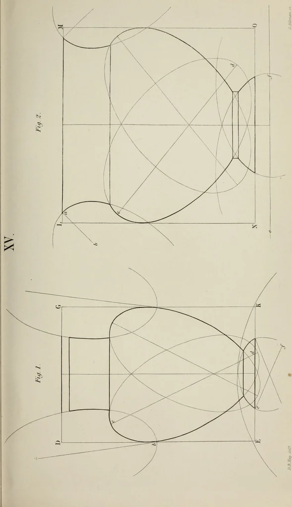 An illustration from The science of beauty, as developed in nature and applied in art, 1856, leaf 134