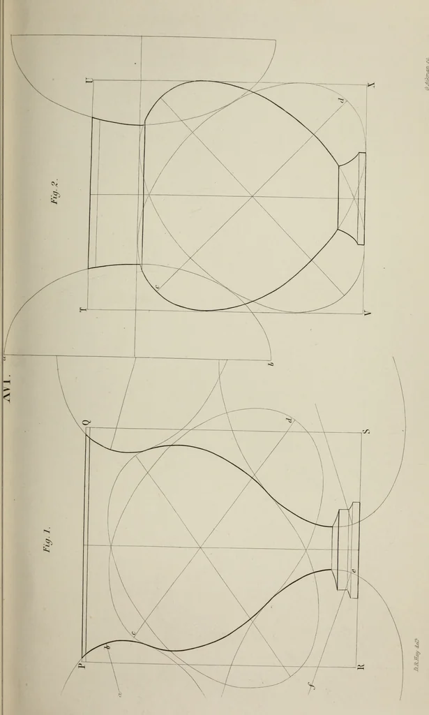 An illustration from The science of beauty, as developed in nature and applied in art, 1856, leaf 136