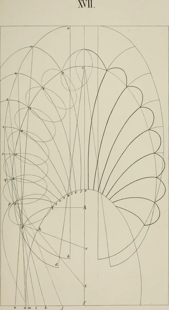 An illustration from The science of beauty, as developed in nature and applied in art, 1856, leaf 138