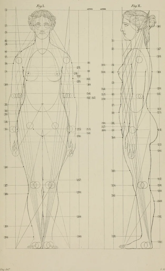 An illustration from The science of beauty, as developed in nature and applied in art, 1856, leaf 156