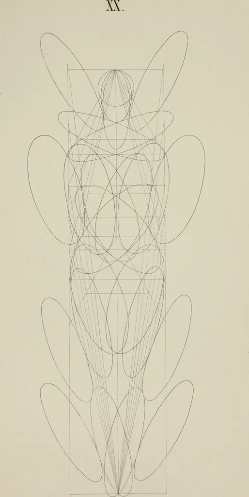 An illustration from The science of beauty, as developed in nature and applied in art, 1856, leaf 158