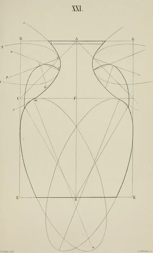 An illustration from The science of beauty, as developed in nature and applied in art, 1856, leaf 160