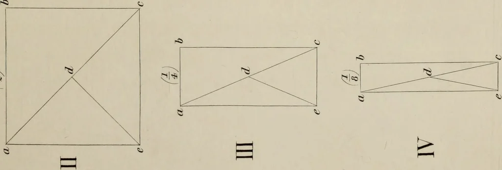 An illustration from The science of beauty, as developed in nature and applied in art, 1856, leaf 60