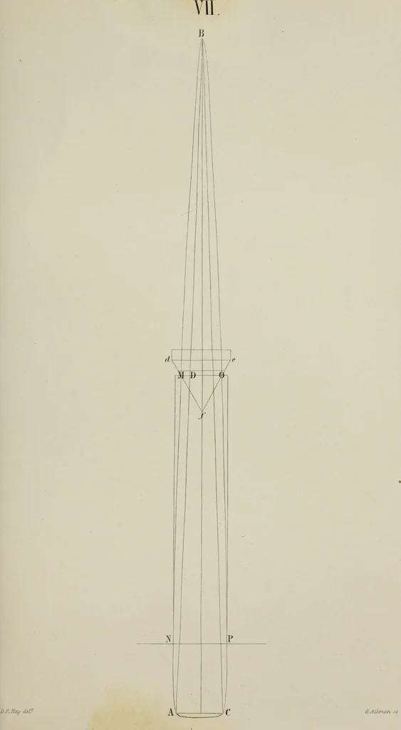 An illustration from The science of beauty, as developed in nature and applied in art, 1856, leaf 80