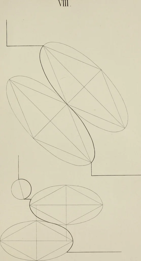 An illustration from The science of beauty, as developed in nature and applied in art, 1856, leaf 82