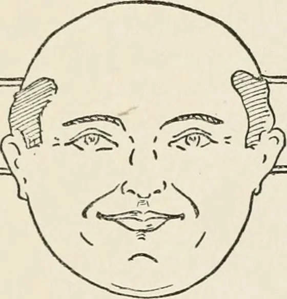 An illustration from The science of judging men, 1917, leaf 40