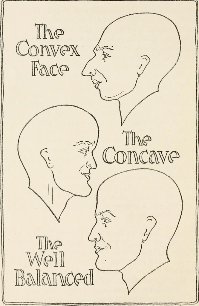 An illustration from The science of judging men, 1917, leaf 45