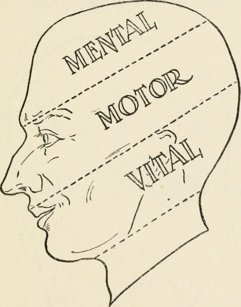 An illustration from The science of judging men, 1917, leaf 46