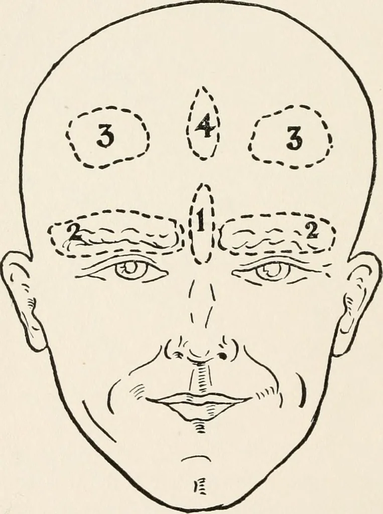 An illustration from The science of judging men, 1917, leaf 47