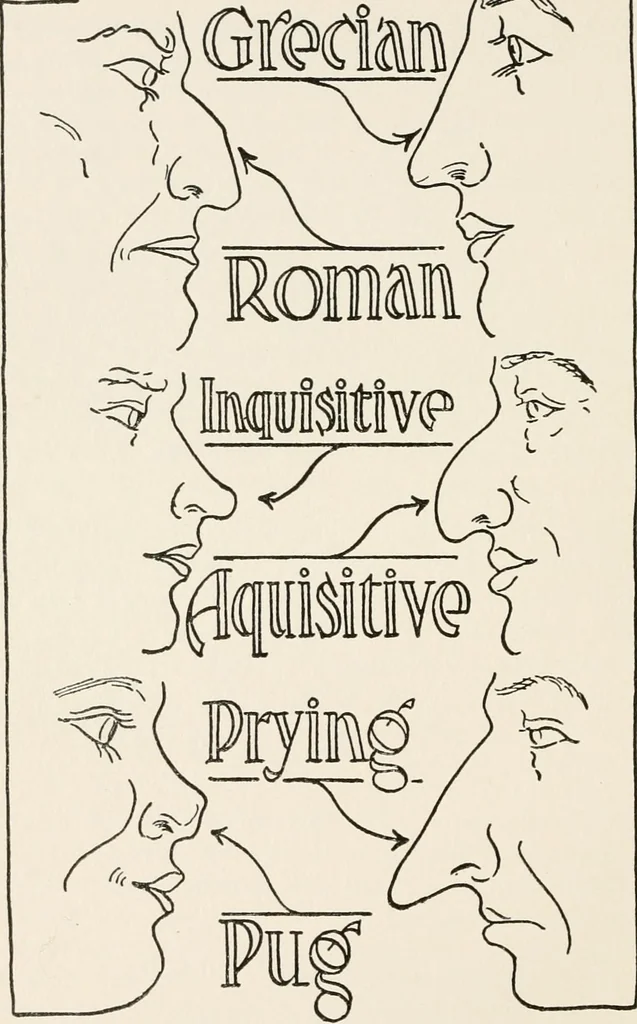 An illustration from The science of judging men, 1917, leaf 51