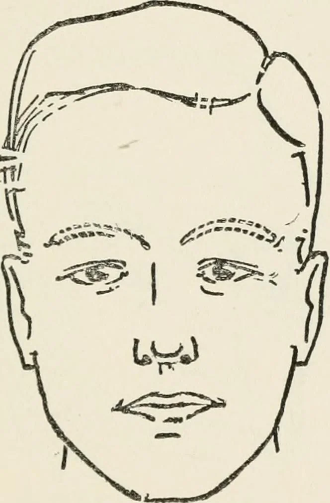 An illustration from The science of judging men, 1917, leaf 56