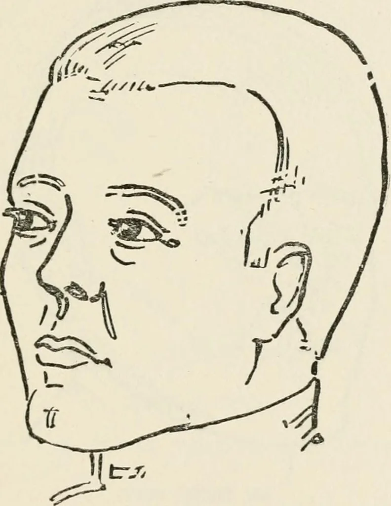 An illustration from The science of judging men, 1917, leaf 58
