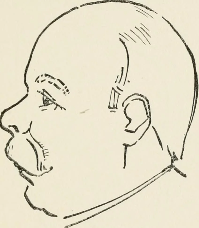 An illustration from The science of judging men, 1917, leaf 60