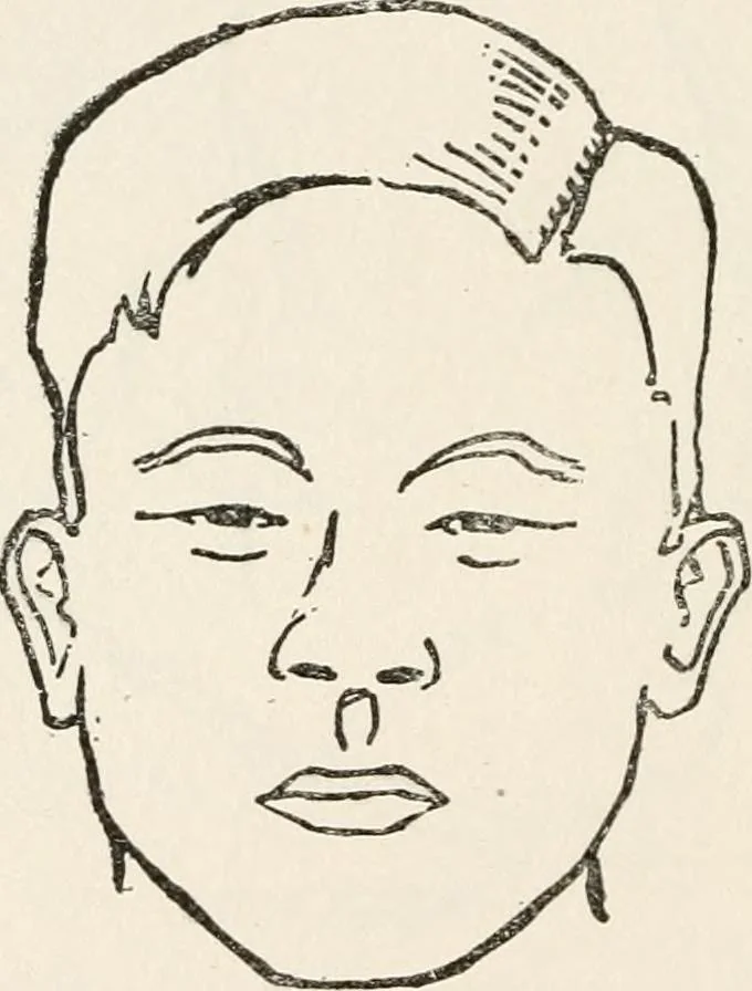 An illustration from The science of judging men, 1917, leaf 61