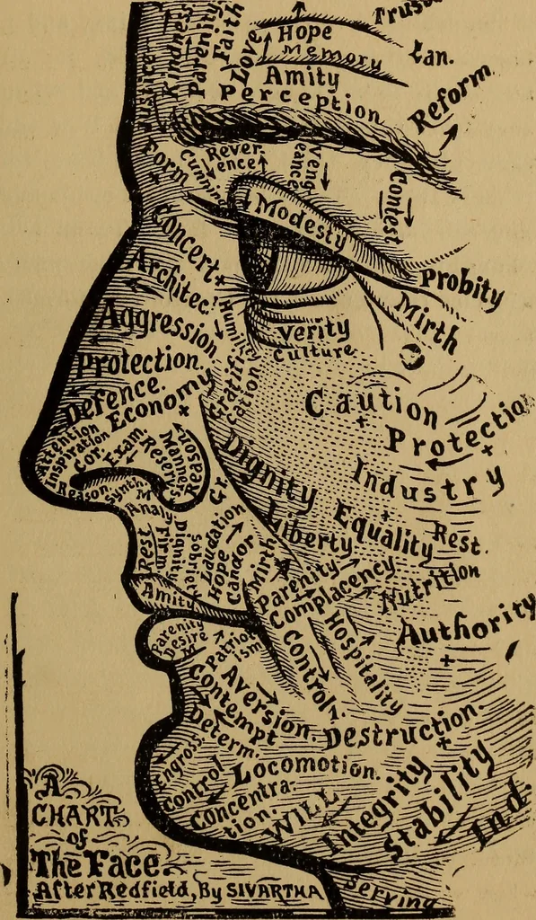 An illustration from The science of palmistry and its relations to astrology and phrenology, 1901, leaf 154