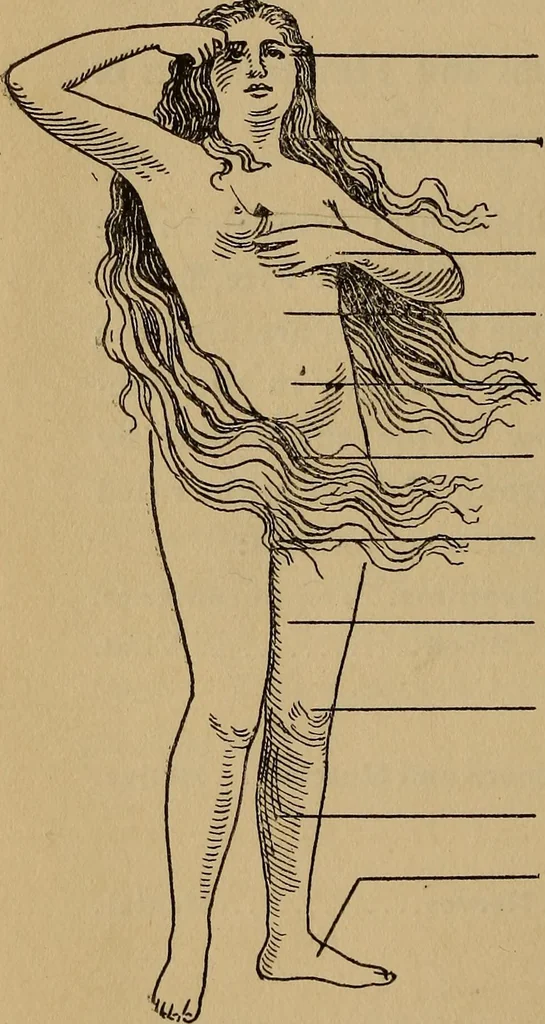 An illustration from The science of palmistry and its relations to astrology and phrenology, 1901, leaf 21