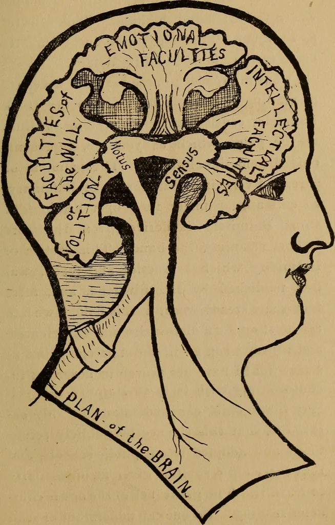 An illustration from The science of palmistry and its relations to astrology and phrenology, 1901, leaf 74