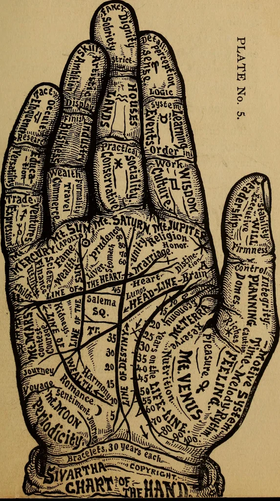 An illustration from The science of palmistry and its relations to astrology and phrenology, 1901, leaf 80