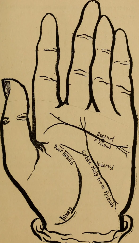 An illustration from The science of palmistry and its relations to astrology and phrenology, 1901, leaf 82