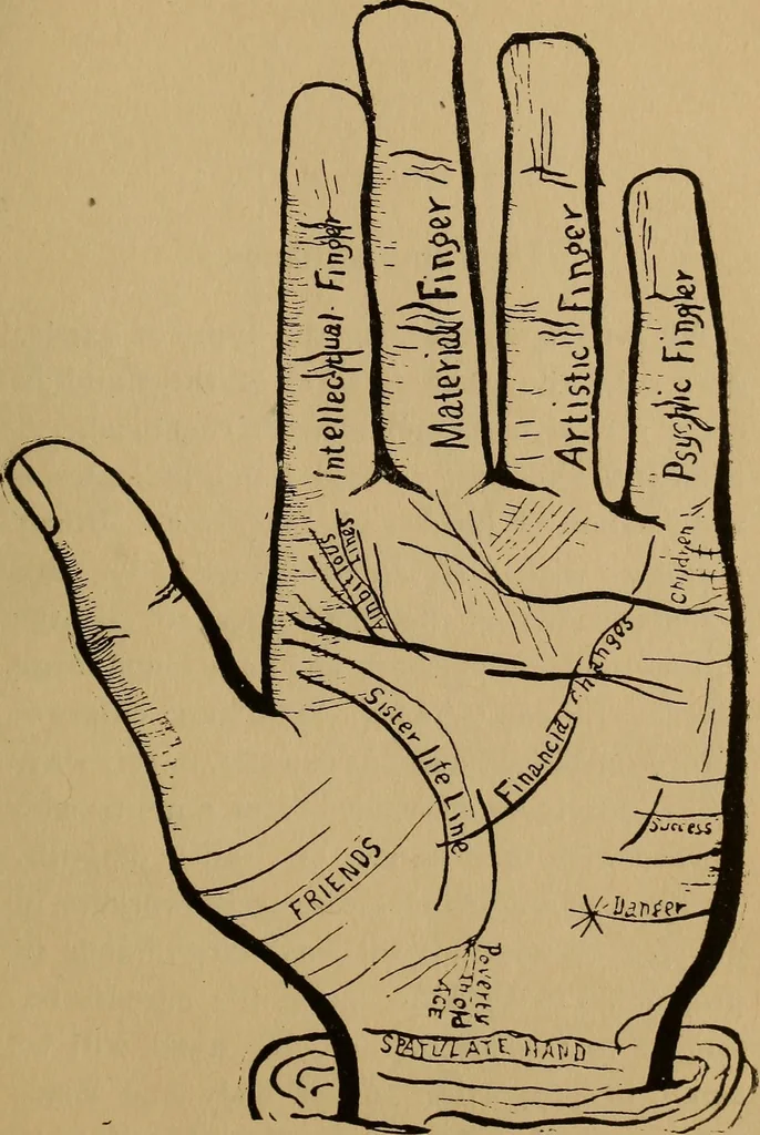 An illustration from The science of palmistry and its relations to astrology and phrenology, 1901, leaf 84