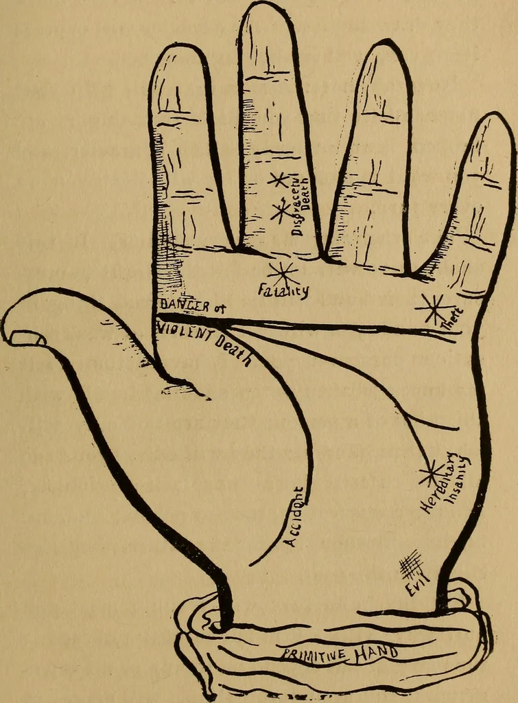 An illustration from The science of palmistry and its relations to astrology and phrenology, 1901, leaf 92