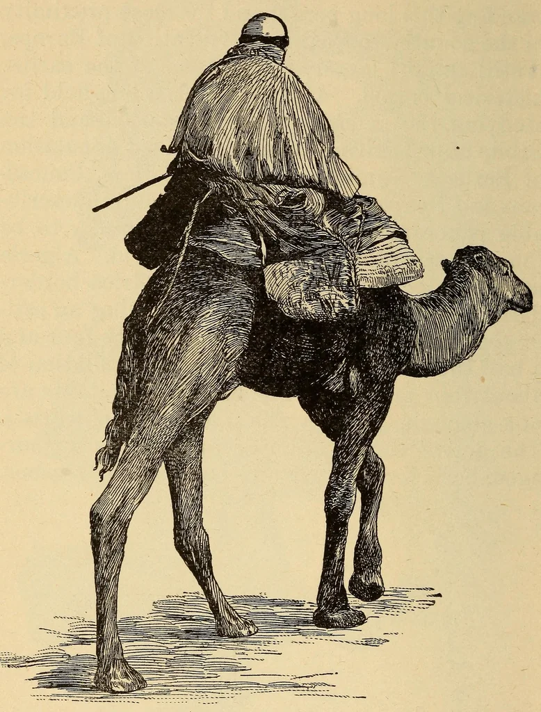 An illustration from The science of railways, 1904, leaf 240