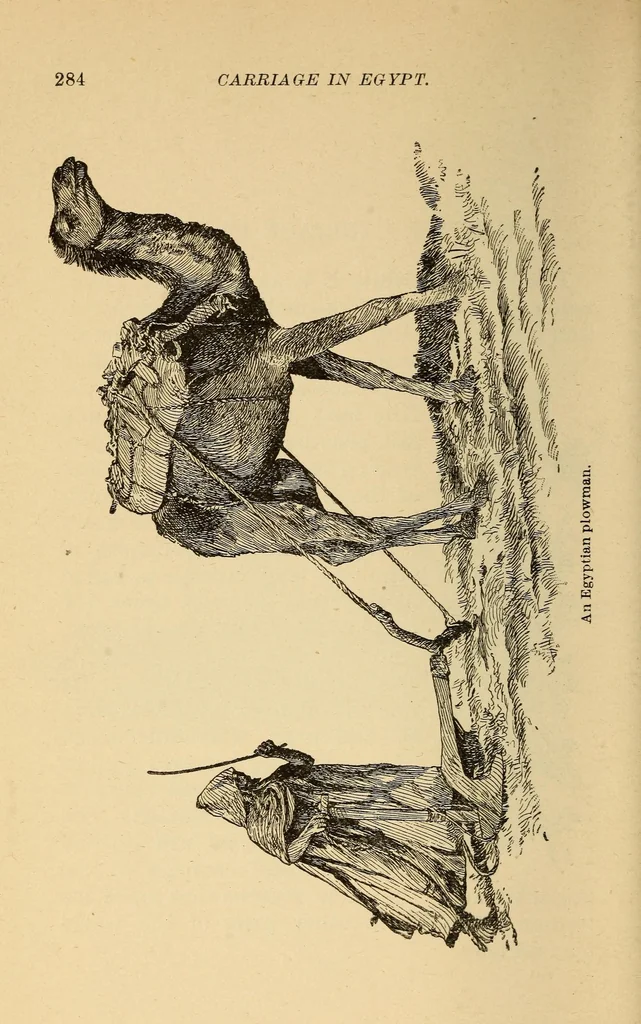 An illustration from The science of railways, 1904, leaf 294