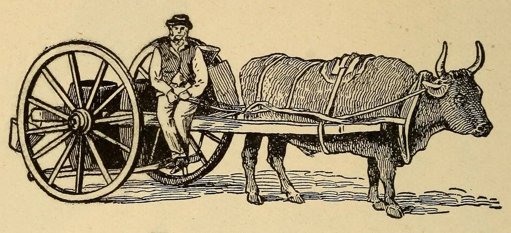 An illustration from The science of railways, 1904, leaf 404