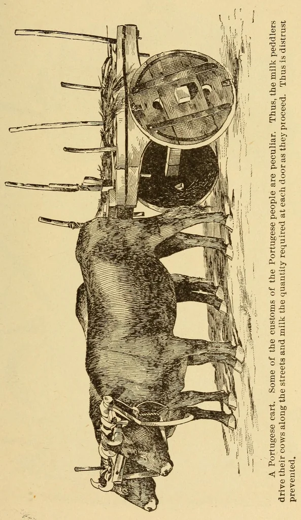 An illustration from The science of railways, 1904, leaf 483
