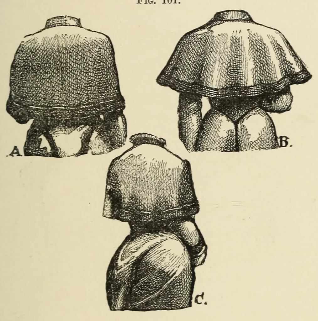 An illustration from The science of taste: being a treatise on its principles, 1879, leaf 245