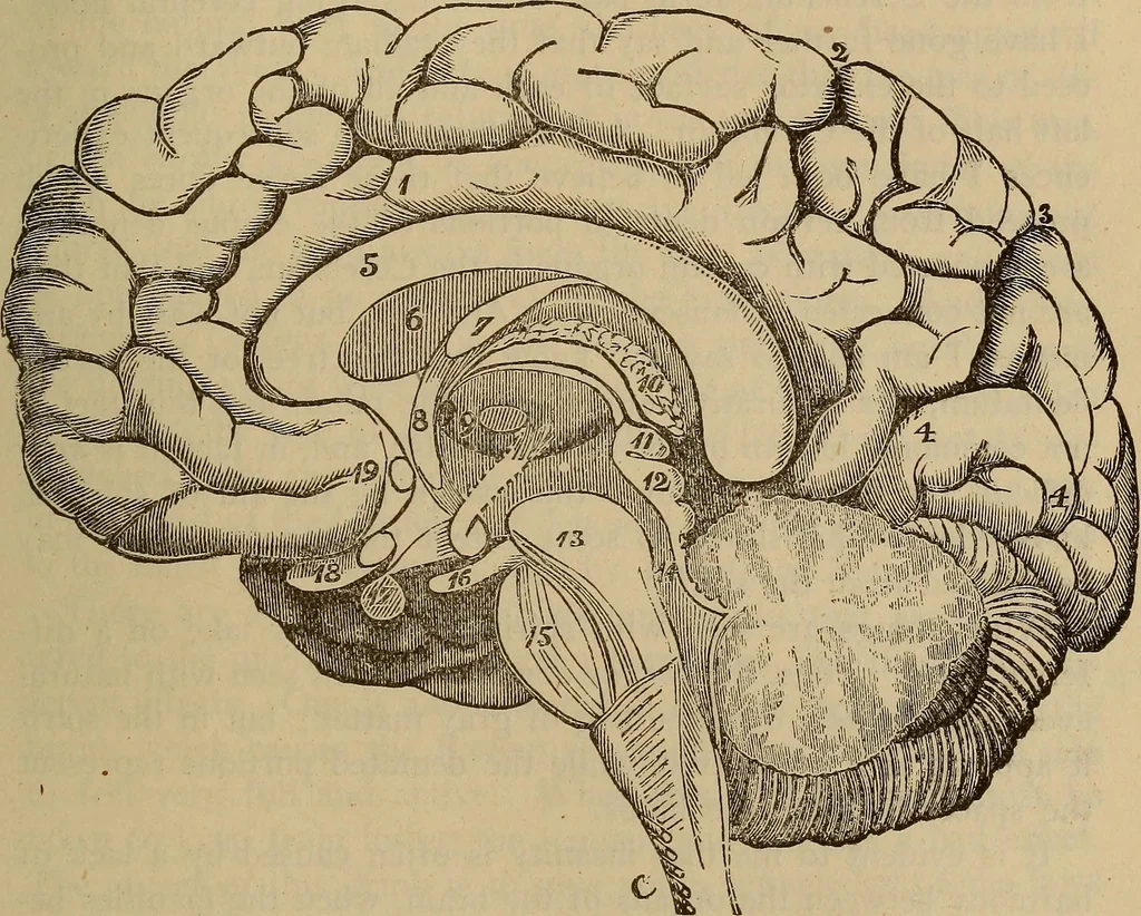 An illustration from Science and religion, 1905, leaf 208