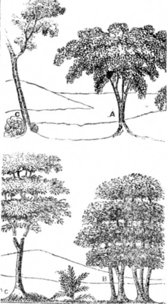 An illustration from Scientific American, Vol. 2, No. 44 (July 1847), 1847, leaf 7