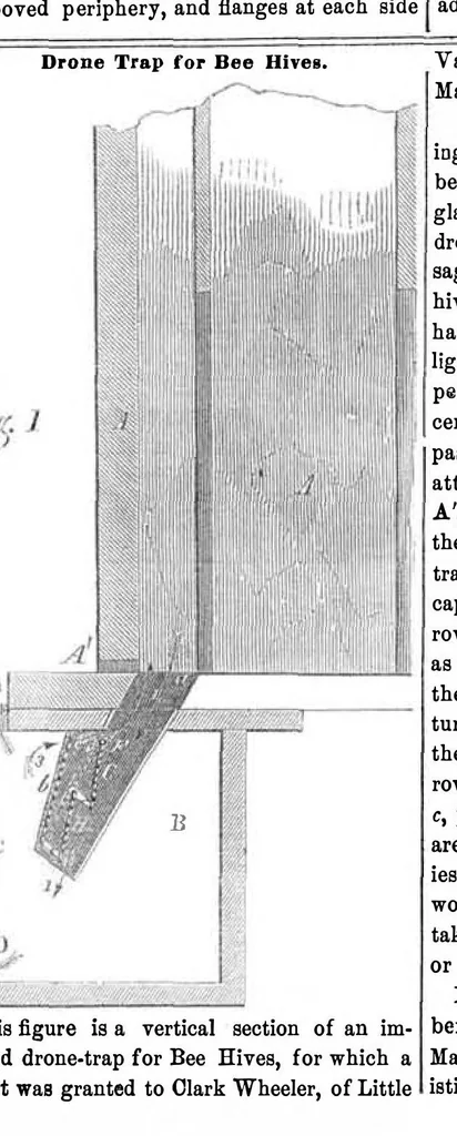 An illustration from Scientific American, Vol. 9, No. 45 (July 1854), 1854, leaf 7