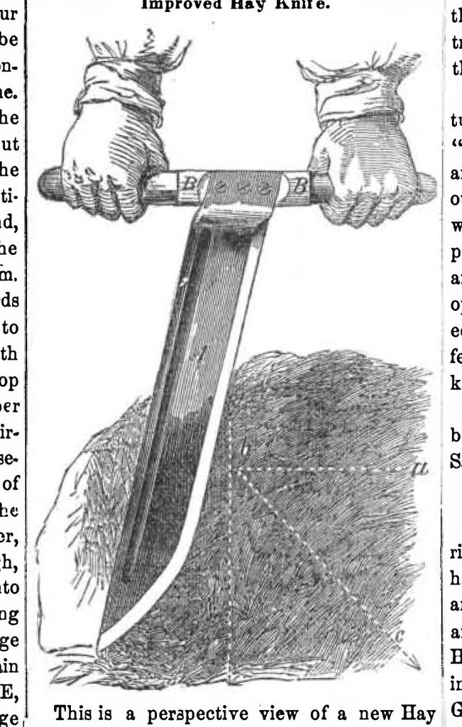 An illustration from Scientific American, Vol. 9, No. 46 (July 1854), 1854, leaf 3