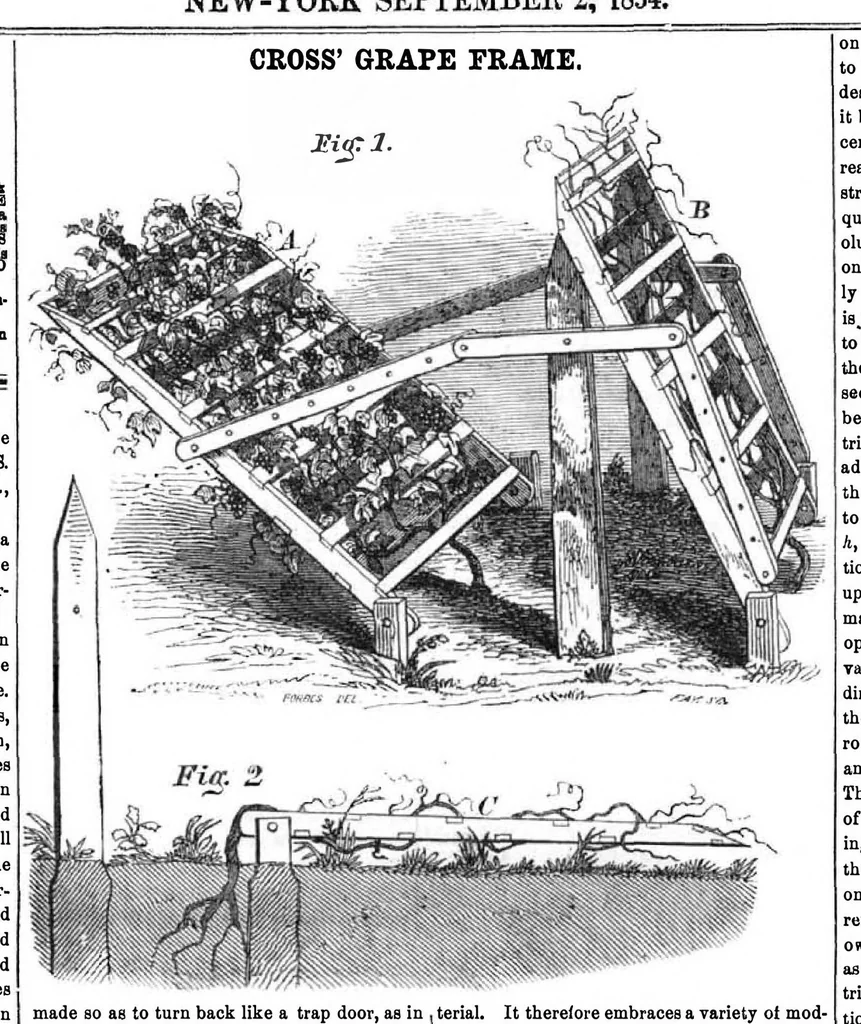 An illustration from Scientific American, Vol. 9, No. 51 (September 1854), 1854, leaf 0