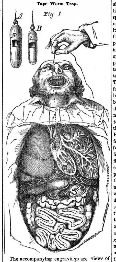 An illustration from Scientific American, Vol. 10, No. 48 (August 1855), 1855, leaf 7