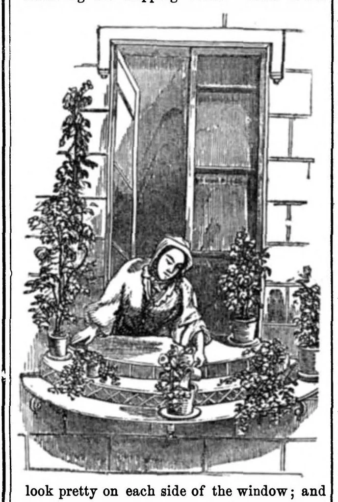 An illustration from Scientific American, Vol. 12, No. 41 (June 1857), 1857, leaf 7