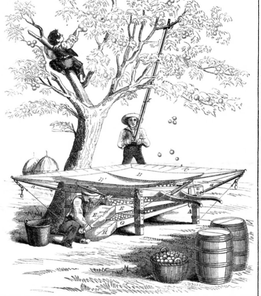 An illustration from Scientific American, Vol. 13, No. 40 (June 1858), 1858, leaf 7
